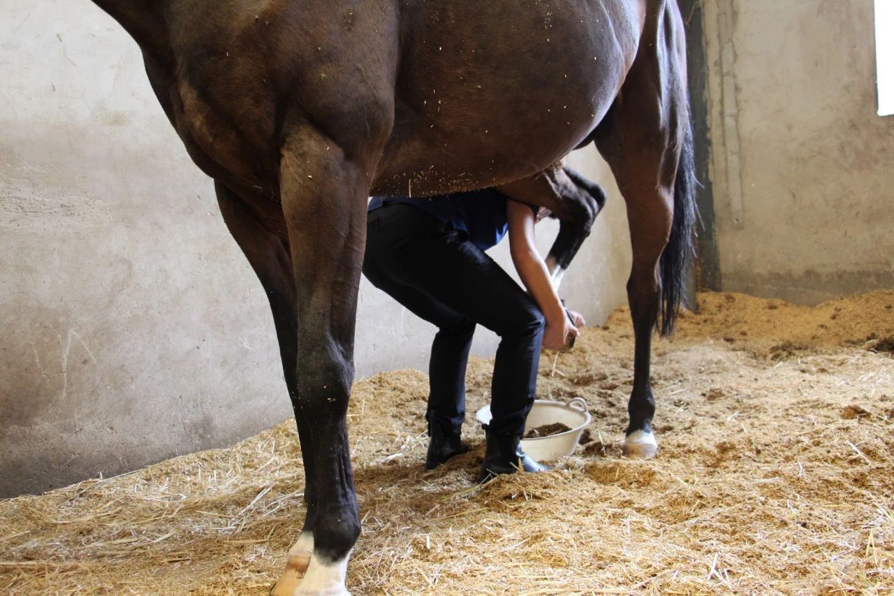 iPhone6升级iOS93体验 备忘录可以加密(图1)