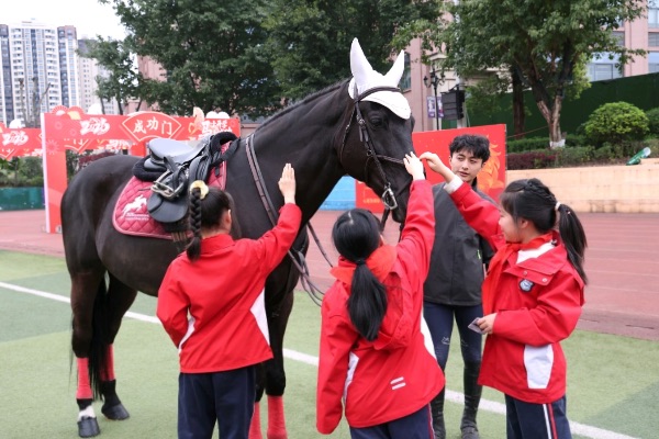 除了分数还需要什么？这是个“千里马”的故事(图1)