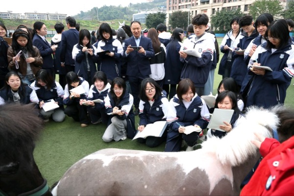 除了分数还需要什么？这是个“千里马”的故事(图5)