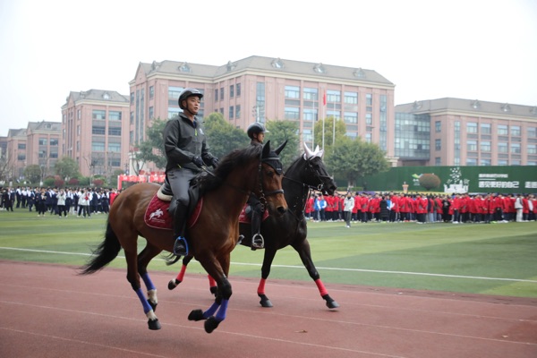 除了分数还需要什么？这是个“千里马”的故事(图6)