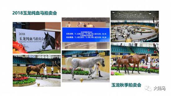 乌拉特前旗人民法院关于WJGMCG88A胖唐马15cm 巴西花梨木（第二次拍卖）的公告(图1)