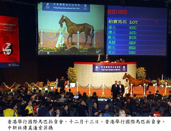 2026深圳观澜山水田园首届非遗斗马节活动攻略(图1)