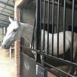 轻奢新年礼物清单：送晚辈的时尚与实用之选(图1)