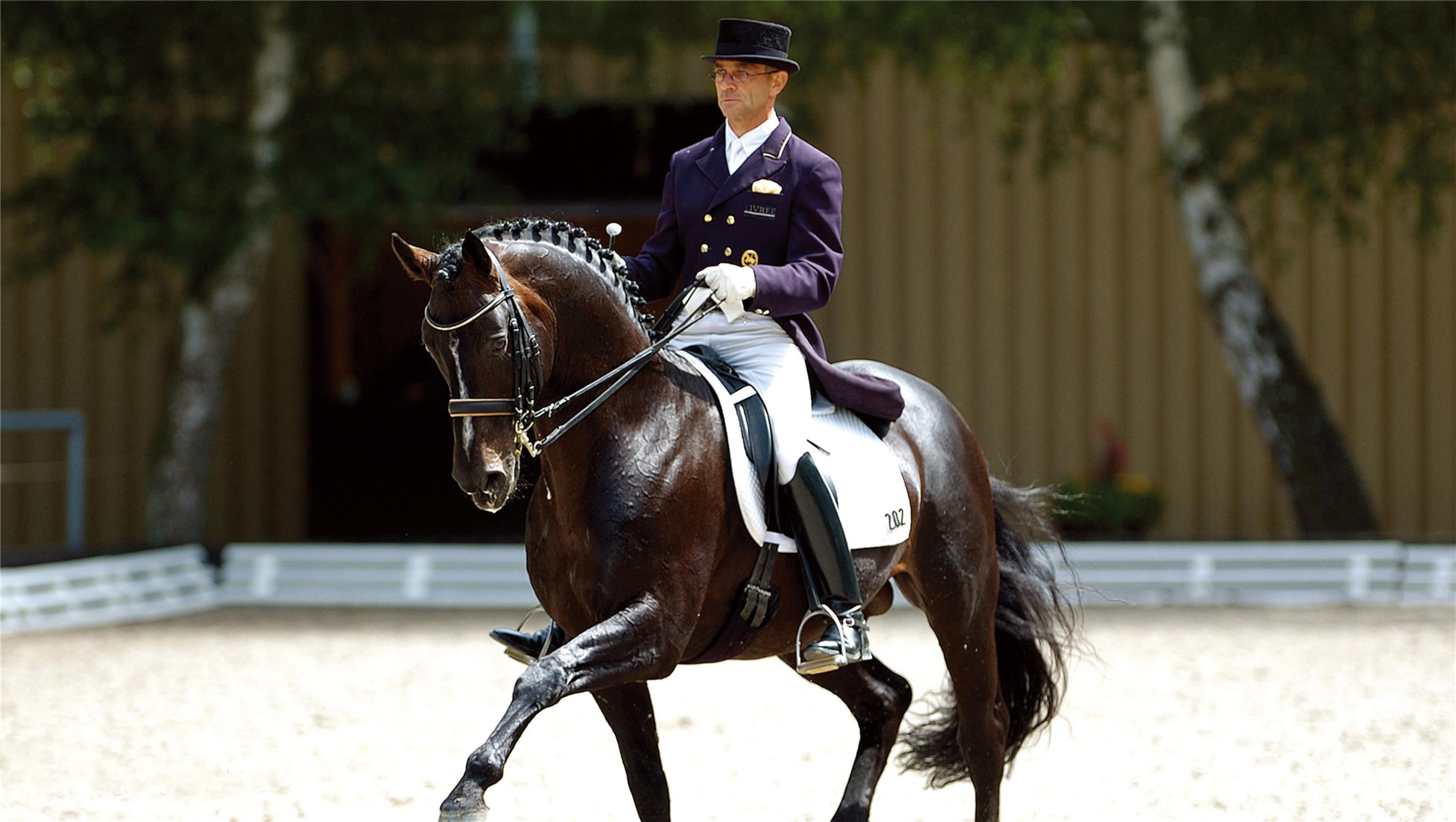 2026广州国际马术挑战赛CS12收官(图1)