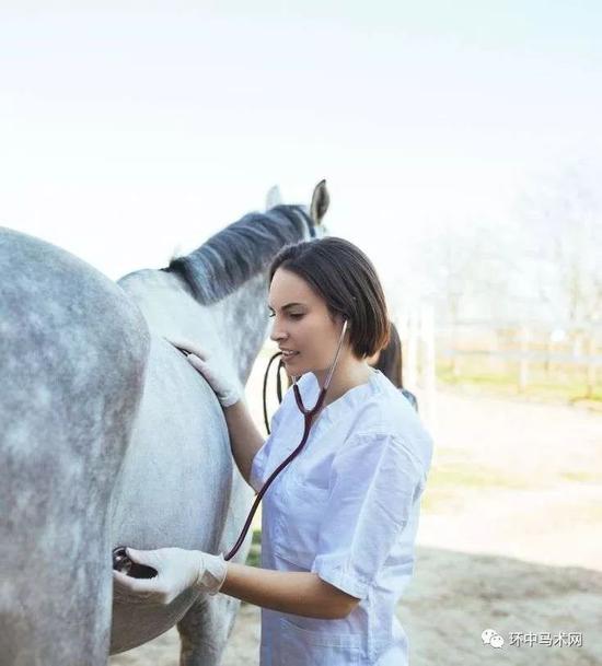 高水平战略性中马命运共同体论坛在吉隆坡举行(图1)