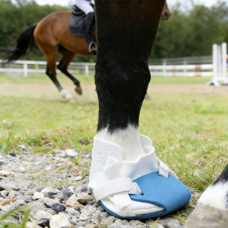 滚动新闻_光明网(图1)