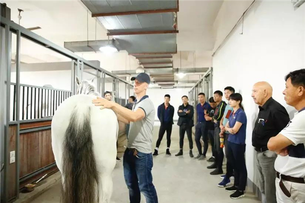 中兽医其他特殊疗法简介(图1)