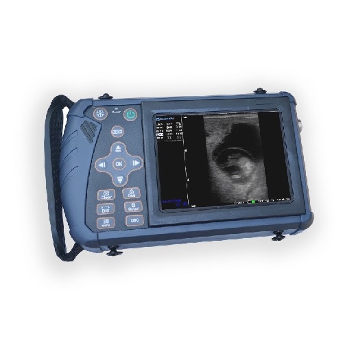 马的直肠超声检查 养马彩超机 马b超仪器 马用肌腱B超机韧带彩