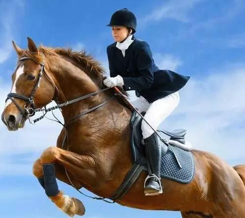 刘烨14岁女儿霓娜马术赛场展风采清冷飒爽尽显训练有素气质