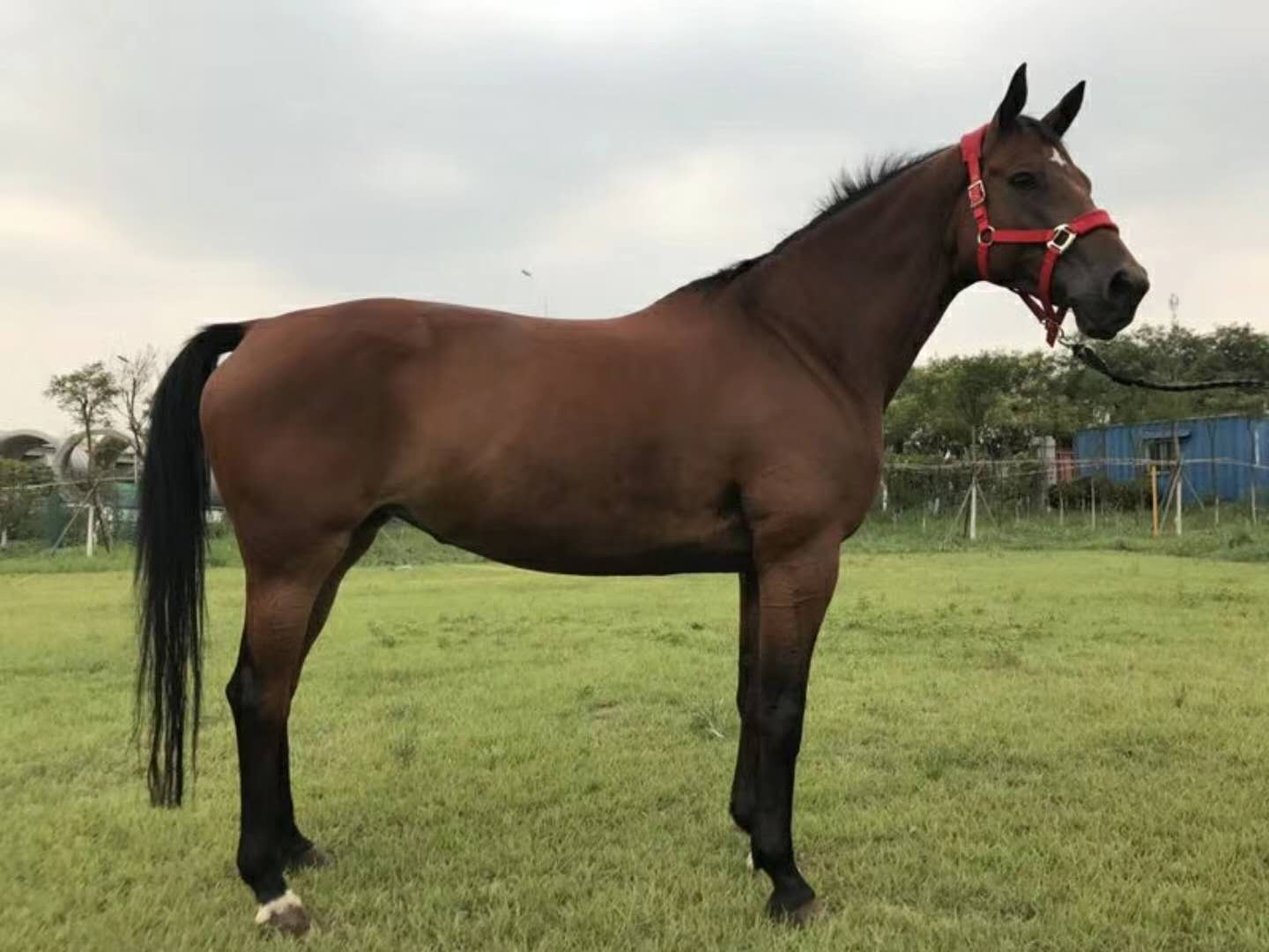 净土育生机——浙江探索动物疫病净化新路径(图1)