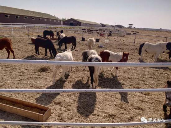 汉朝初期非常穷困为何70年后汉武帝却能集结30万骑兵北击匈奴(图1)
