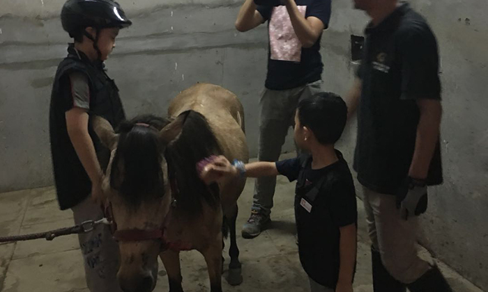 双区官方授牌认定！重庆盛天马术获评中小学社会实践教育基地树立山城马术研学新标杆