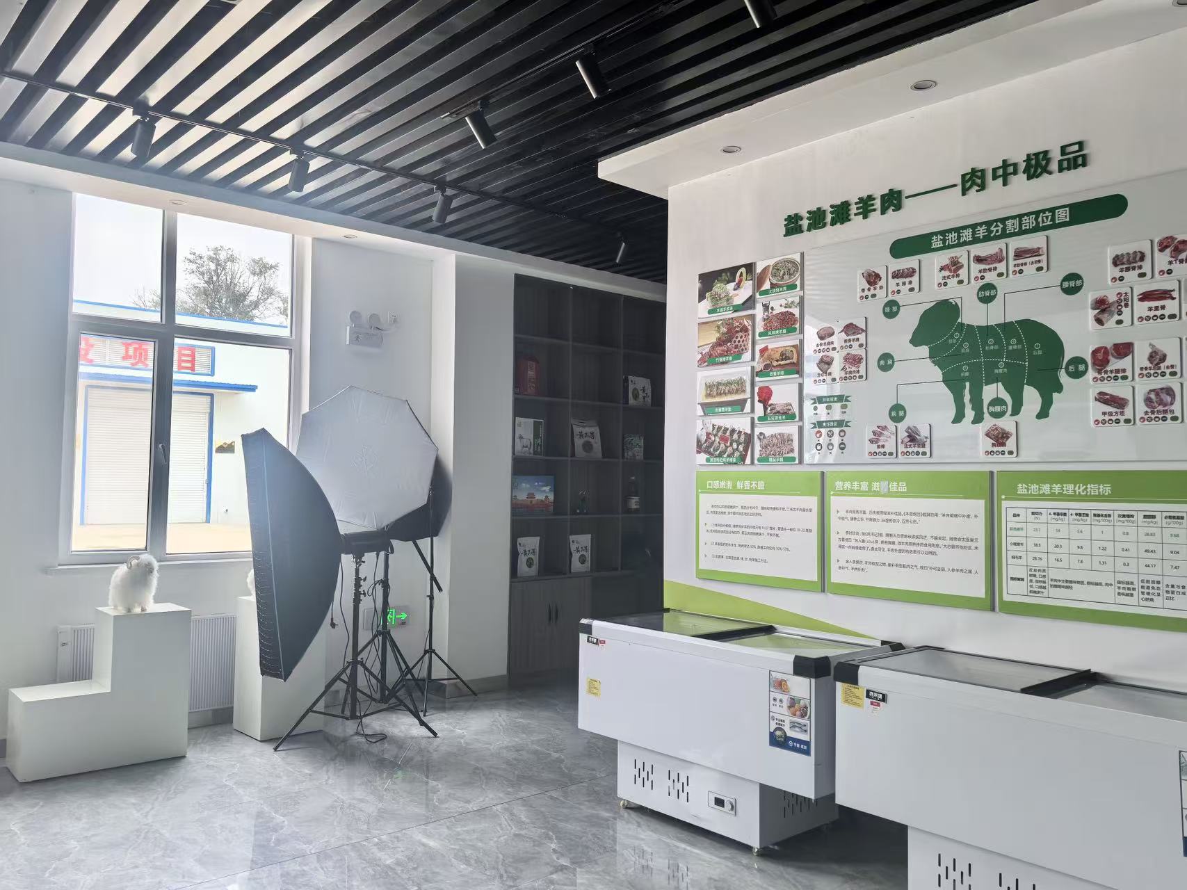 行进中国｜马儿庄的羊经济(图3)